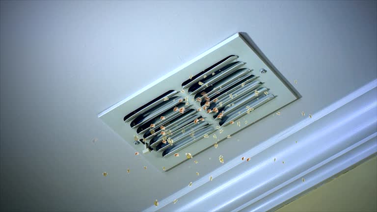 Best Affordable Air Duct Cleaning  in West, TX